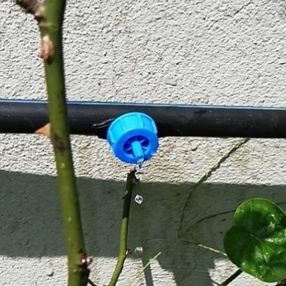 Hệ thống tưới nhỏ giọt - Công nghệ tưới nhỏ giọt